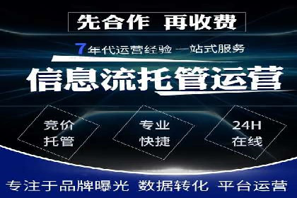 SEM代理实战：成功案例分享与经验总结