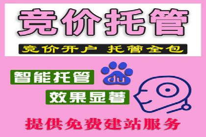 竞价排名与内容营销的结合案例